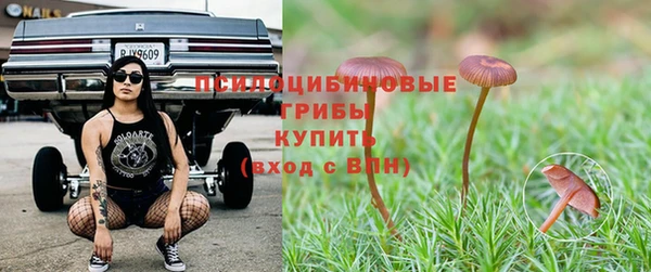 стафф Абдулино