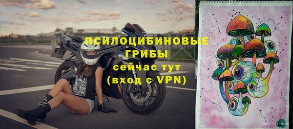 сатива Нефтегорск