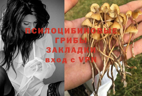 МДПВ Абинск
